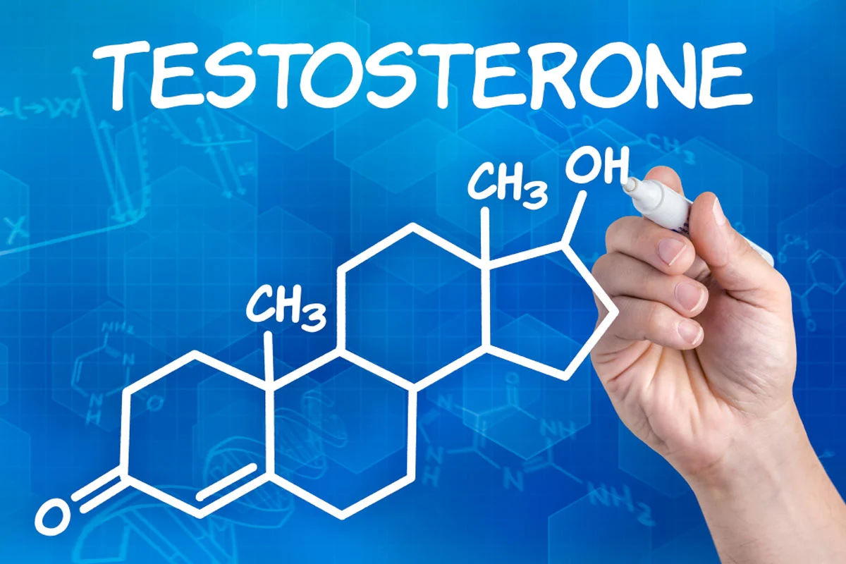 Magnesium And Testosterone