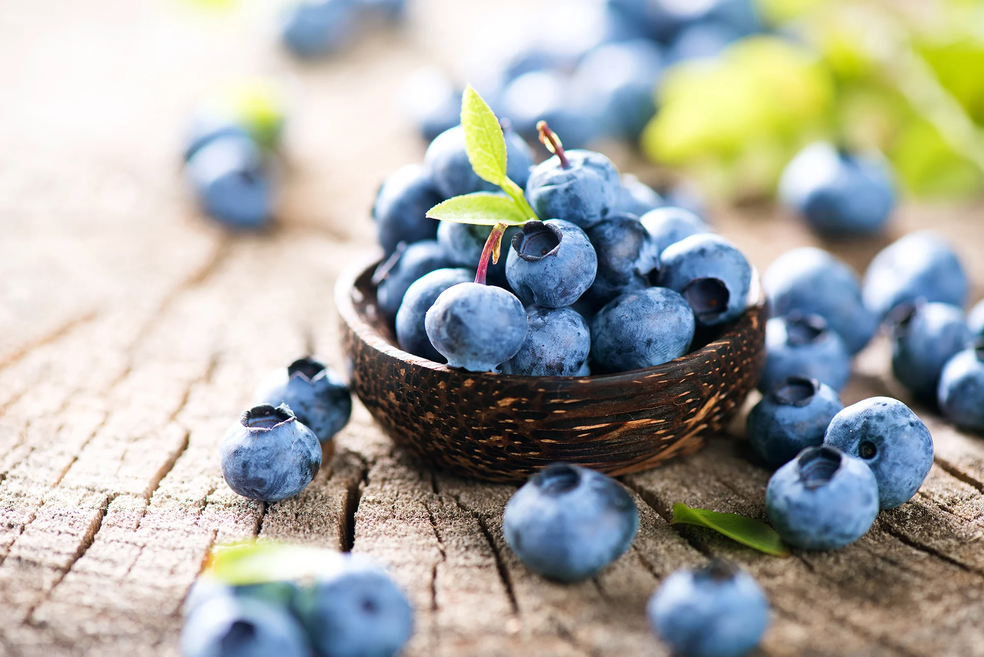 Blueberries: The 