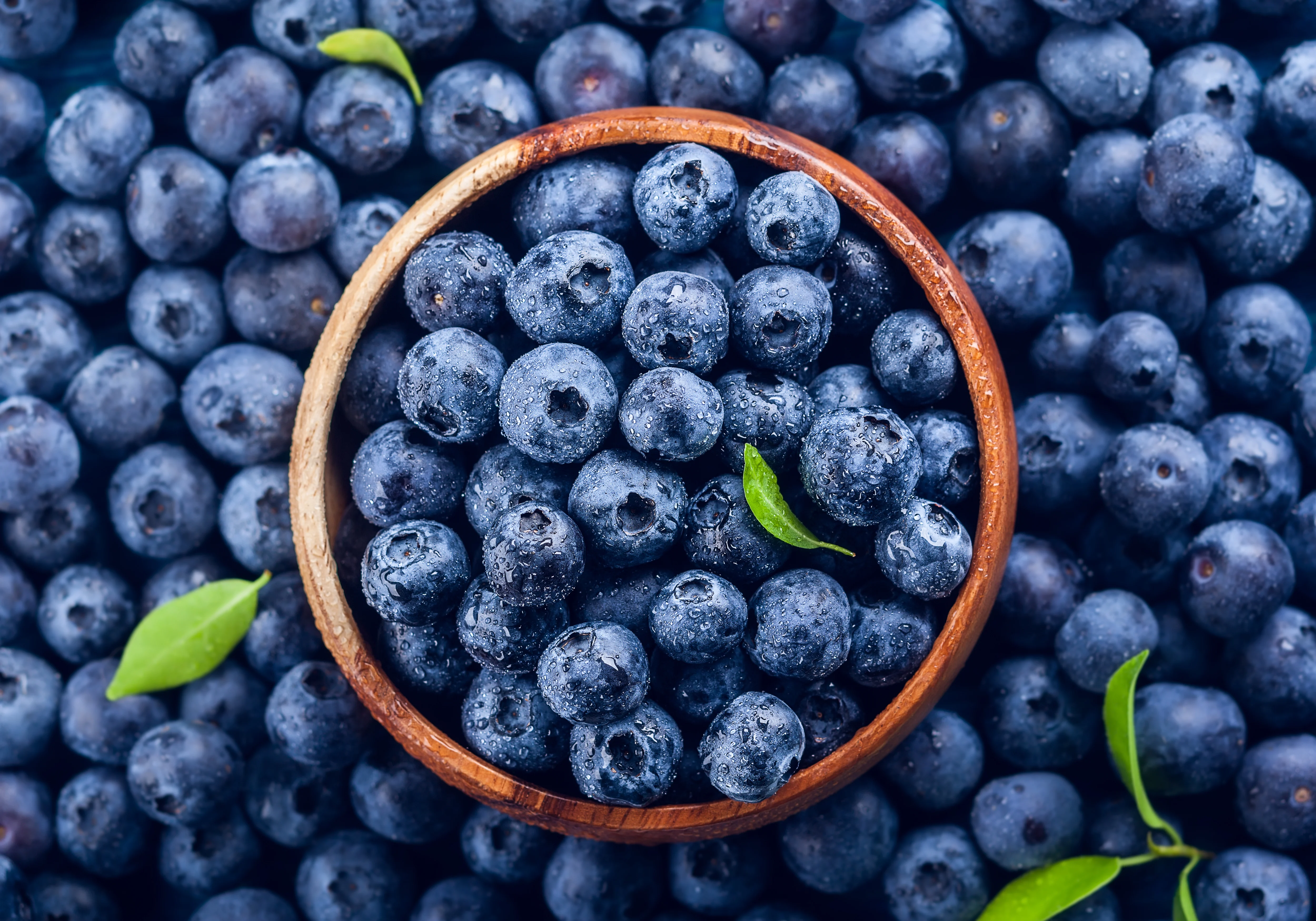4 Reasons Why Blueberries Are A Game Changer