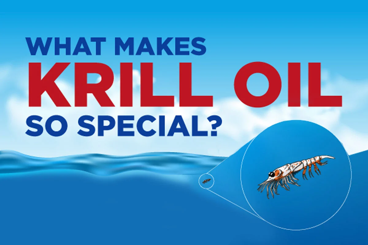 What Makes Krill Oil So Special: An Infographic